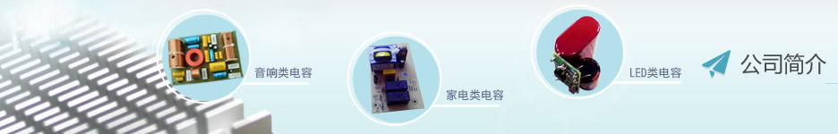 公司簡(jiǎn)介